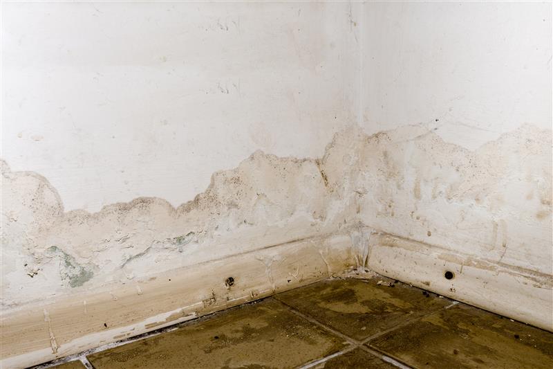 How Dehumidifier Hire Keeps Post-Holiday Construction Work Moving