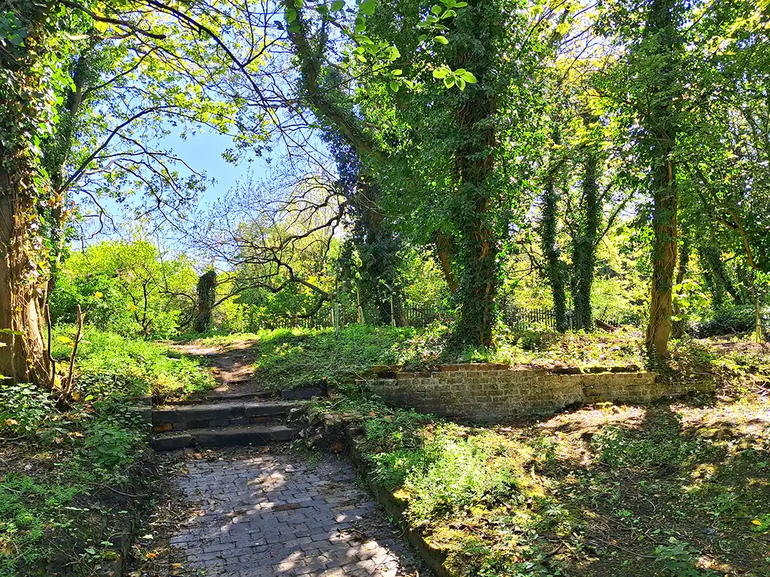 Restored Canal Path Through the Great Canal Orchard in Spring The restored historic brick path and stone steps at Aldersley Canal Junction in spring 2026, surrounded by green woodland growth at the Great Canal Orchard site